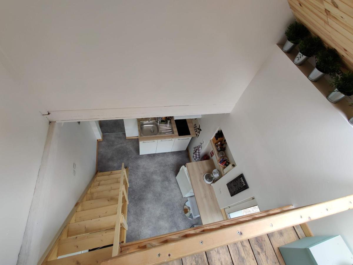 Studio Mezzanine Chez Papou, Ville Et Foret Strasbourg Exterior photo